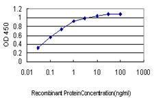 Anti-HYOU1 Mouse Monoclonal Antibody [clone: 6F7]