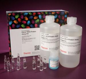 BCA™ protein assay kits and reagents