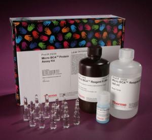 Pierce™ Micro BCA™ Protein Assay Kit and Reagents