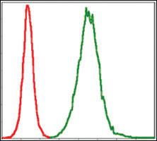 Anti-TNNT2 Mouse Monoclonal Antibody [clone: 2F12G2]