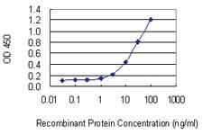 Anti-NEDD4L Mouse Monoclonal Antibody [clone: 1D2]