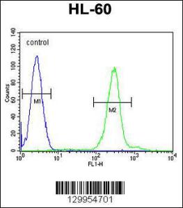 Anti-PLA2G2C Rabbit Polyclonal Antibody (FITC (Fluorescein Isothiocyanate))