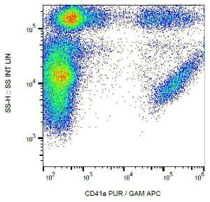 Surface staining of human peripheral blood cells with Anti-CD41a Antibody (A85496)