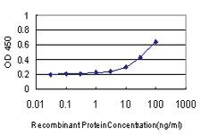 Anti-IL1B Mouse Monoclonal Antibody [clone: 2A8]