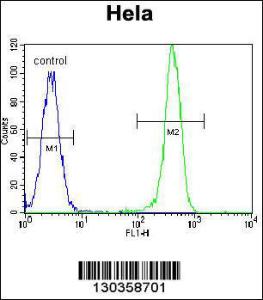 Anti-EPOR Rabbit Polyclonal Antibody (PE (Phycoerythrin))