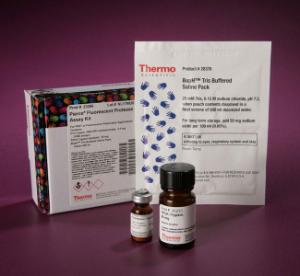 Pierce™ Protease Assay Kits, Colorimetric and Fluorometric