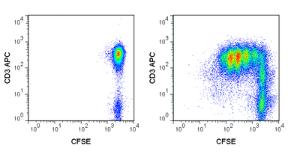 5(6)-Carboxyfluorescein diacetate NHS ester [CFSE (5(6)-CFDA SE)] solution réactif de coloration, pour histologie