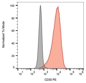 Surface staining of K562 cells with Anti-CD30 Antibody (A85503)