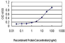 Anti-PF4 Mouse Monoclonal Antibody [clone: 3F6]