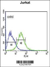 Anti-PLIN2 Rabbit Polyclonal Antibody