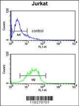 Anti-IGFALS Rabbit Polyclonal Antibody