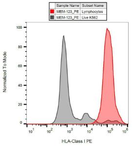 Surface staining of K562 cells with Anti-HLA Class I Antibody (A85505)