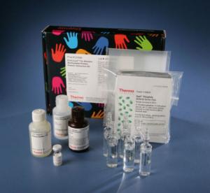 Far-western blot kit for biotinylated proteins, Pierce™