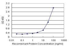 Anti-CPB1 Antibody Pair