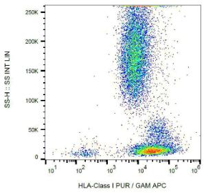 Surface staining of human peripheral blood with Anti-HLA Class I Antibody (A85507)