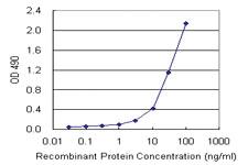 Anti-RETN Mouse Monoclonal Antibody (Biotin)