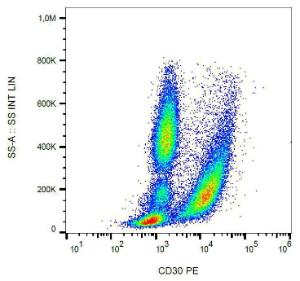 Surface staining of human blood cells with Anti-CD30 Antibody (A85511)