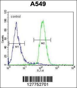 Anti-LILRA2 Rabbit Polyclonal Antibody (HRP (Horseradish Peroxidase))