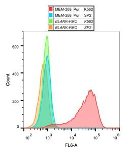 Surface staining of K562 cells with Anti-CD30 Antibody (A85512)