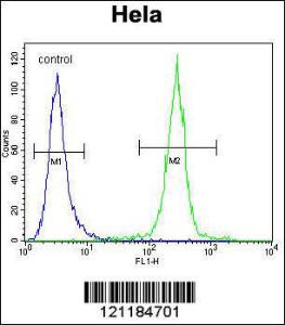 Anti-COCH Rabbit Polyclonal Antibody