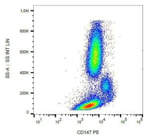 Surface staining of human peripheral blood with Anti-CD147 Antibody (A85528)