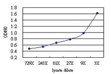 Anti-CTNNAL1 Antibody Pair