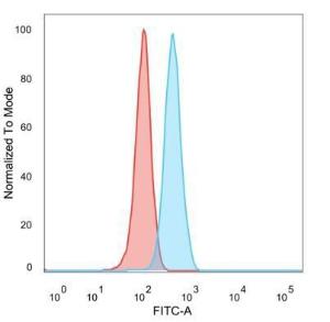 Flow cytometric analysis of PFA fixed Raji cells using Anti-ZMYM3 Antibody [PCRP-ZMYM3-2F10] followed by Goat Anti-Mouse IgG (CF&#174; 488) (Blue). Unstained cells (red).