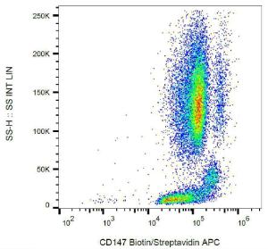 Surface staining of human peripheral blood with Anti-CD147 Antibody (A85530)