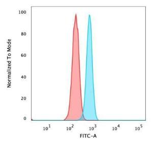 Flow cytometric analysis of PFA fixed HeLa cells using Anti-ZMYM3 Antibody [PCRP-ZMYM3-2F10] followed by Goat Anti-Mouse IgG (CF&#174; 488) (Blue). Unstained cells (red).