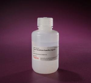 Affinity chromatography media, glutathione superflow agarose, pierce™