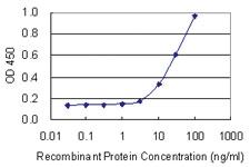 Anti-PFDN4 Mouse Monoclonal Antibody [clone: 2G4]