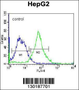 Anti-FNDC7 Rabbit Polyclonal Antibody (FITC (Fluorescein Isothiocyanate))