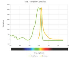 B-phycoerythrin in Ammonium Sulfate Spectra