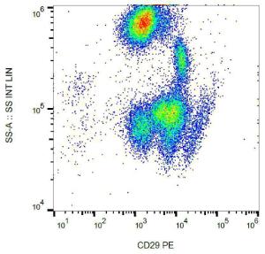 Surface staining of human peripheral blood with Anti-CD29 Antibody (A85540)