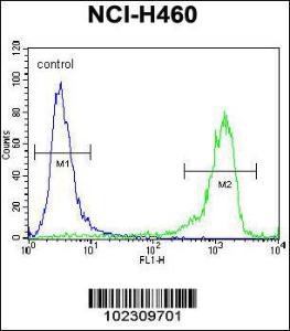 Anti-RCAN2 Rabbit Polyclonal Antibody (APC (Allophycocyanin))