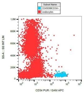 Surface staining of CD34+ cells in human peripheral blood with Anti-CD34 Antibody (A85558)