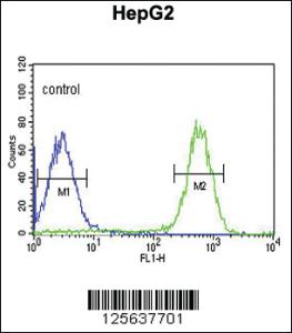 Anti-TESC Rabbit Polyclonal Antibody