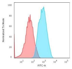 Flow cytometric analysis of human HeLa cells using Anti-alpha Smooth Muscle Actin Antibody [1A4] followed by Goat Anti-Mouse IgG (CF and #174; 488) (Blue). Isotype Control (Red)