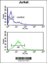 Anti-PLB-T17 Rabbit Polyclonal Antibody