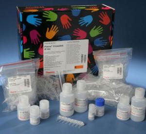 Crosslink immunoprecipitation (IP) kit, Pierce™