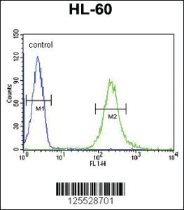 Anti-FKBPL Rabbit Polyclonal Antibody