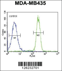 Anti-CCDC101 Rabbit Polyclonal Antibody