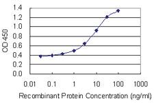 Anti-CRTC1 Mouse Monoclonal Antibody [clone: 8F9]