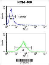 Anti-FPR3 Rabbit Polyclonal Antibody (AP (Alkaline Phosphatase))