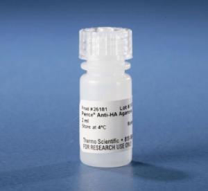 Anti-HA Epitope Tag Mouse Monoclonal Antibody (Agarose) [clone: 2-2.2.14]