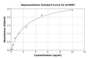 Representative standard curve for Mouse MMP24 ELISA kit (A74894)