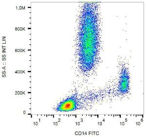 Surface staining of human peripheral blood cells with Anti-CD14 Antibody (A85585)