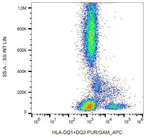 Surface staining of human peripheral blood cells with Anti-HLA DQ1 + DQ3 Antibody (A85586)