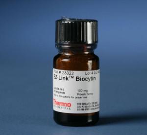 Biocytin, EZ-Link™