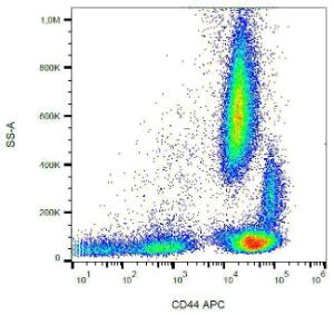 Anti-CD44 antibody